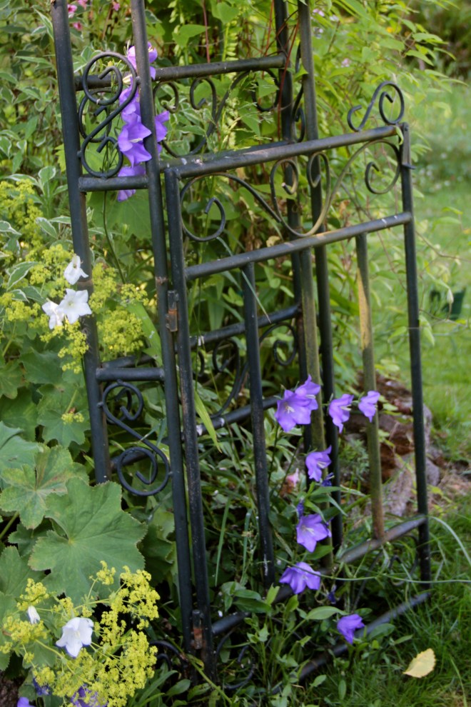 IMG_1210 - Version 2