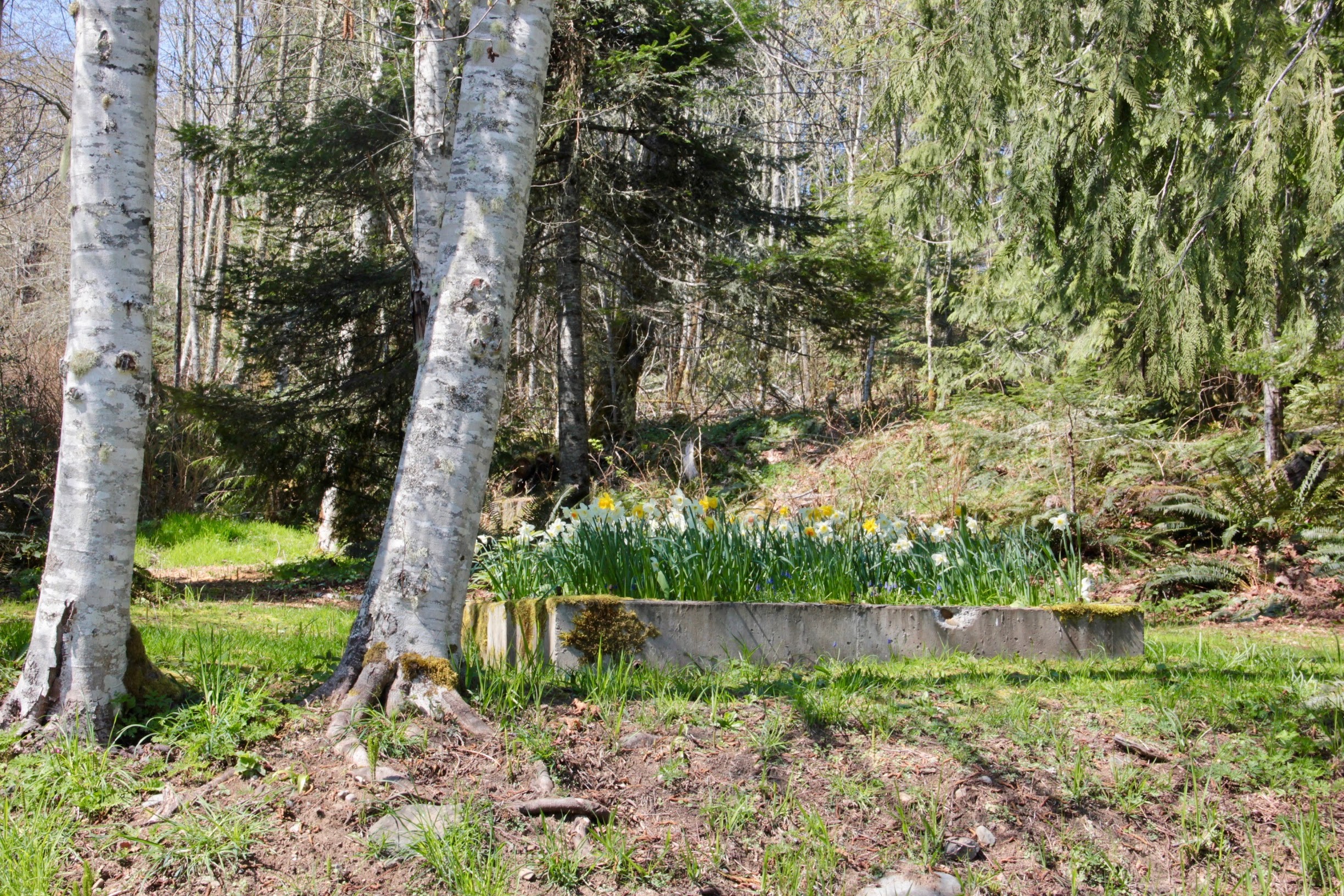 foundation from house