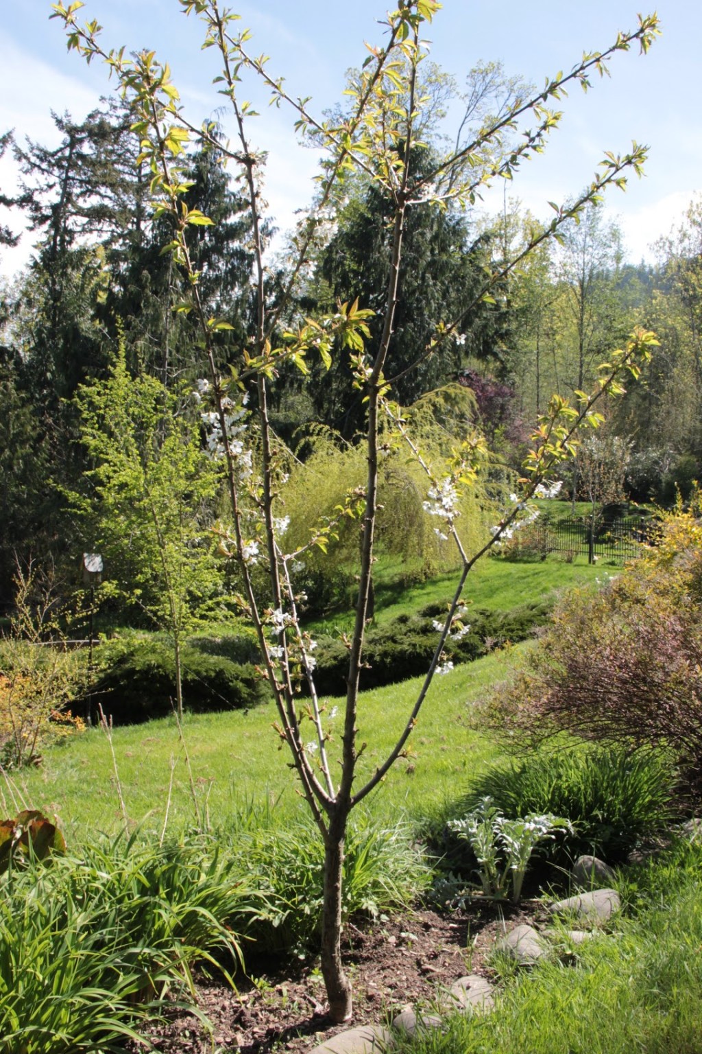 Six On Saturday — May&nbsp;5