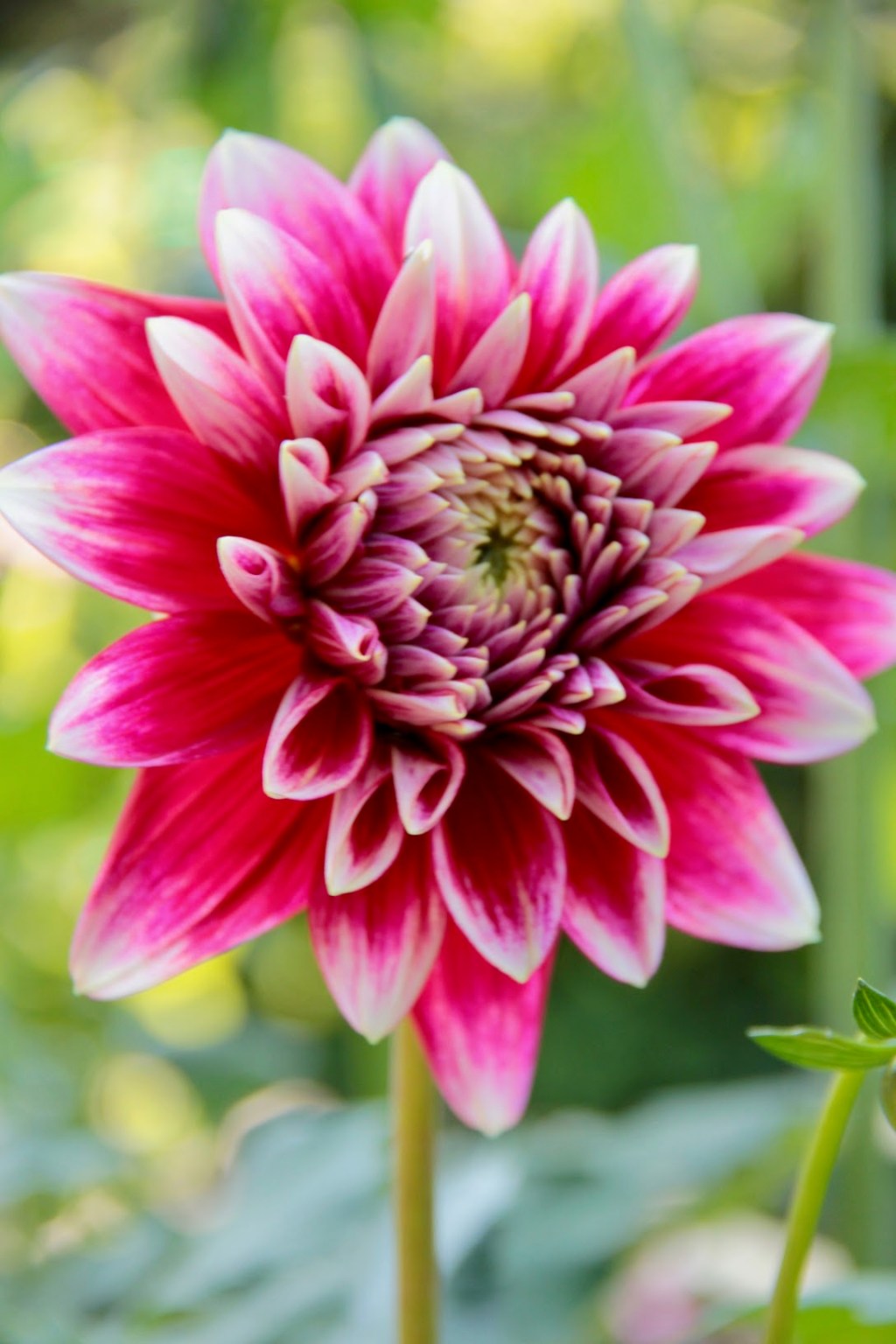 Six On Saturday — August&nbsp;11