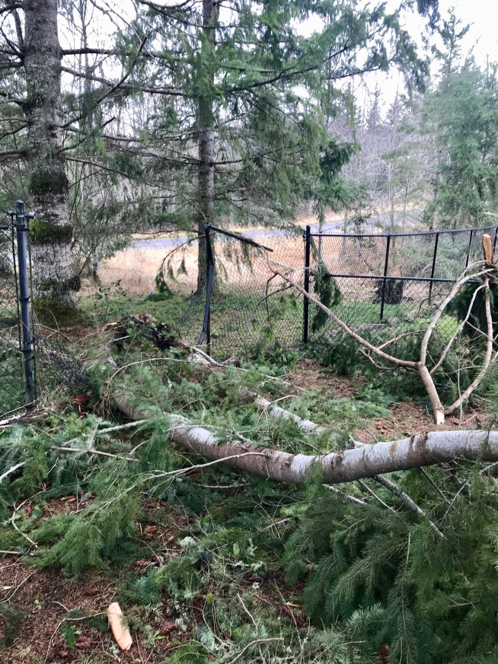 Six On Saturday — December&nbsp;29