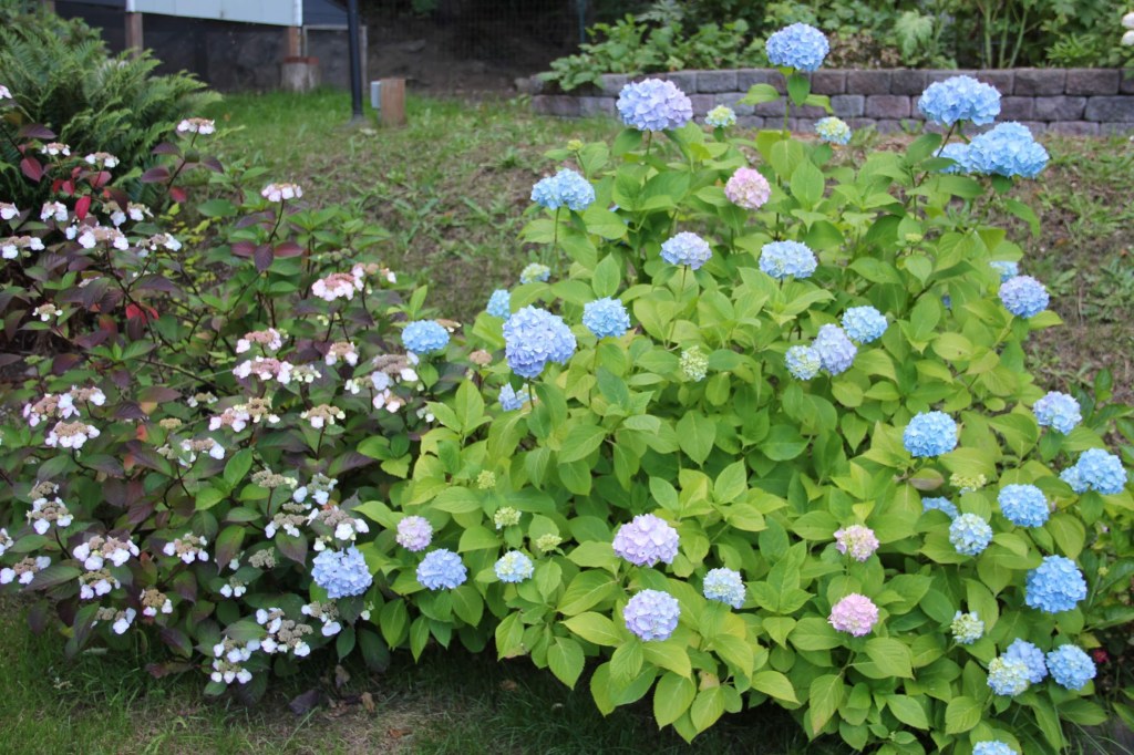 Six On Saturday — July&nbsp;20