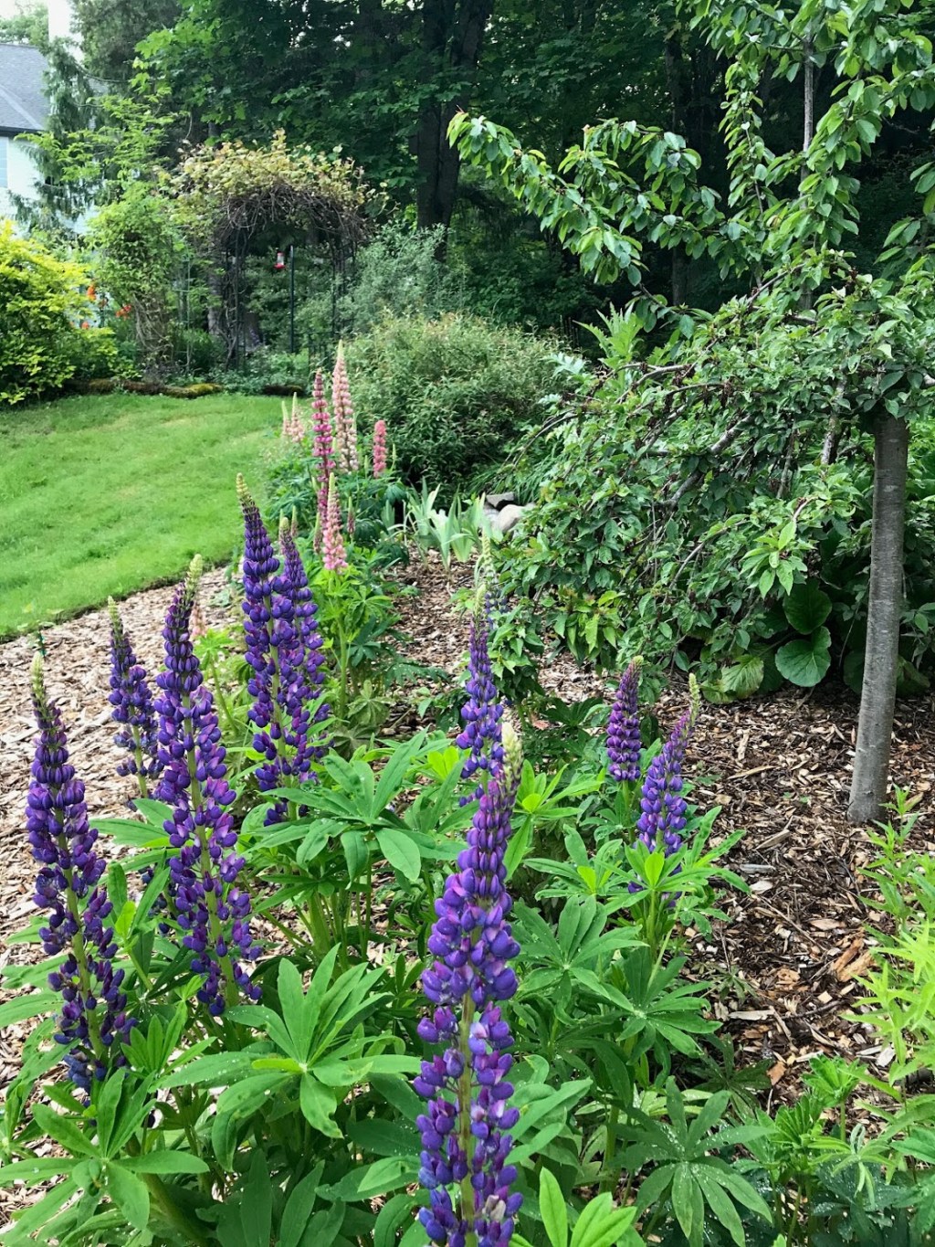 Six On Saturday — June&nbsp;13