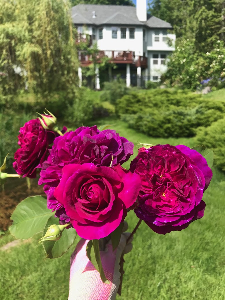 Six On Saturday – June&nbsp;27