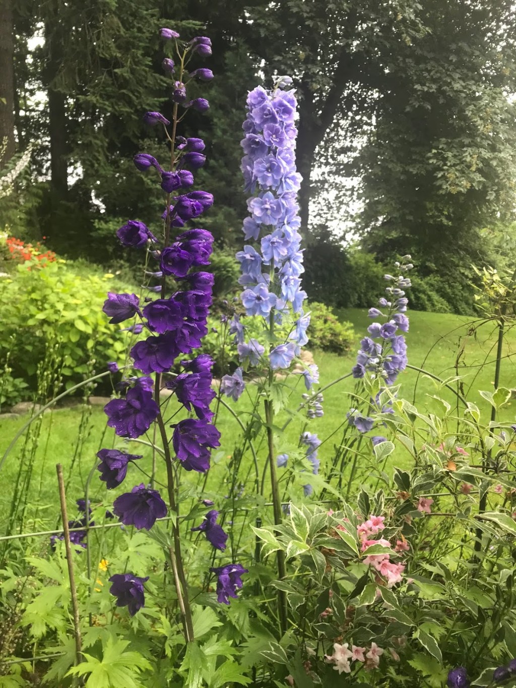 Six On Saturday — July&nbsp;4