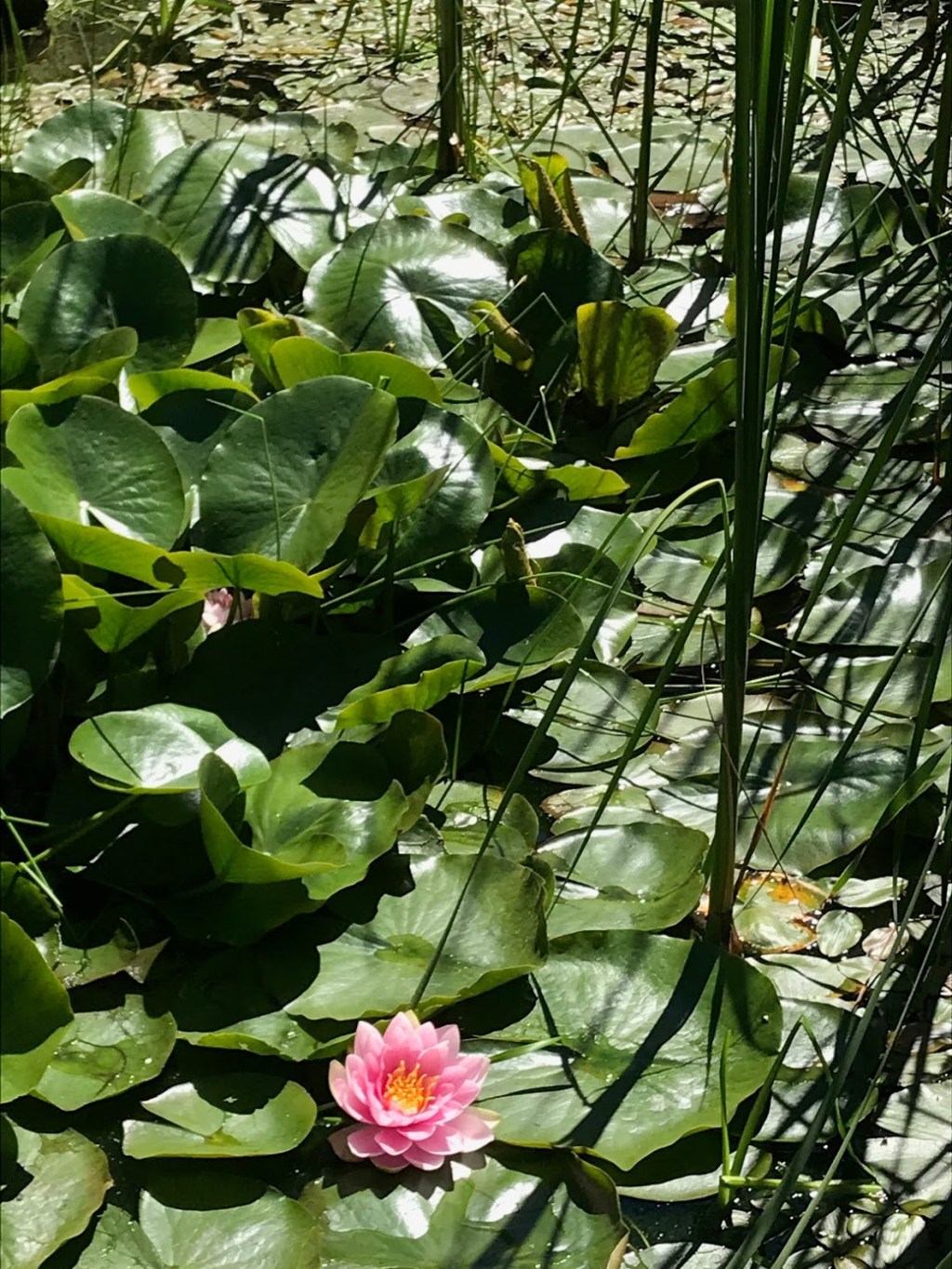 Six On Saturday — August&nbsp;1