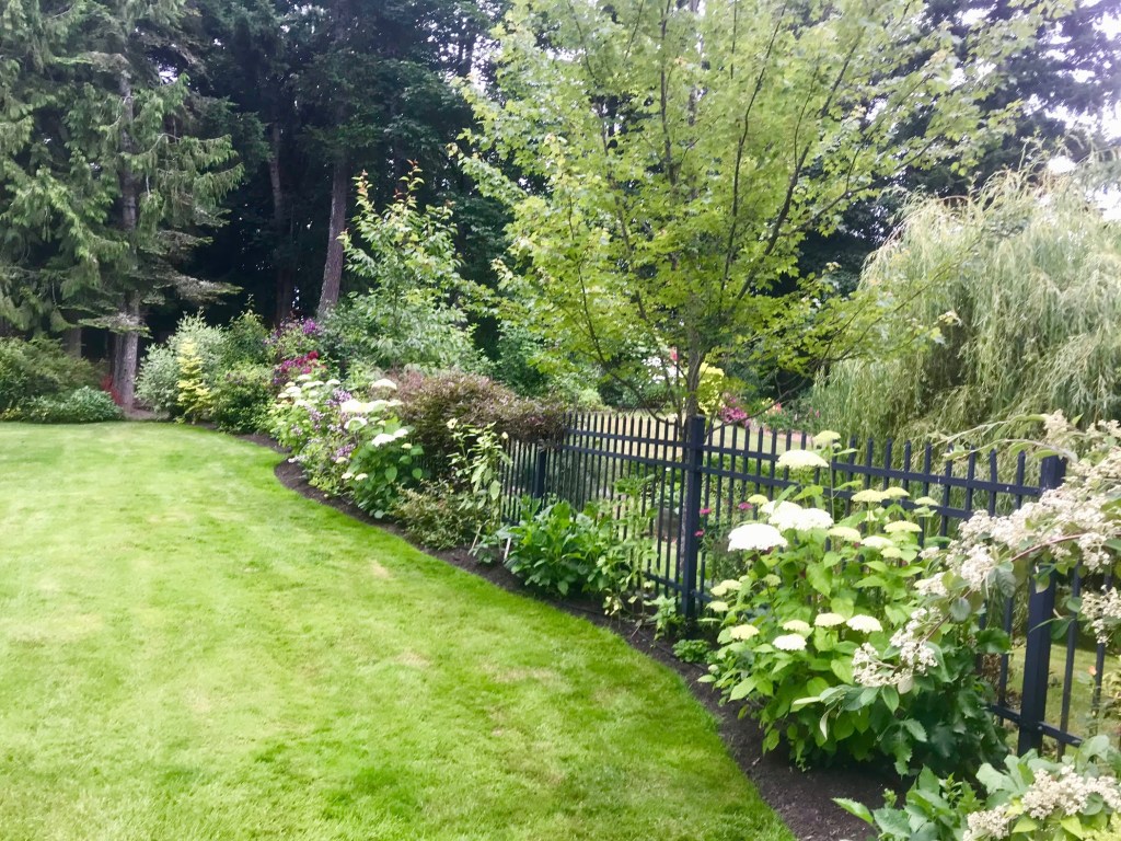 A Look Back –&nbsp;2020