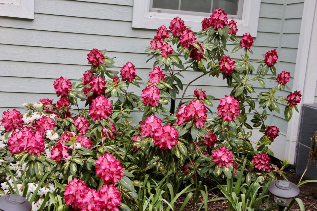 Six On Saturday — May&nbsp;29