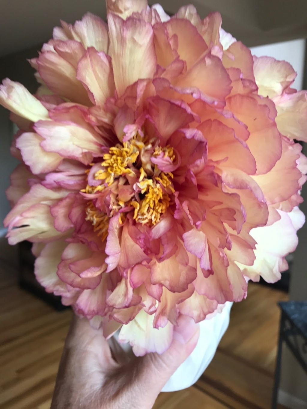 Six On Saturday — June&nbsp;12