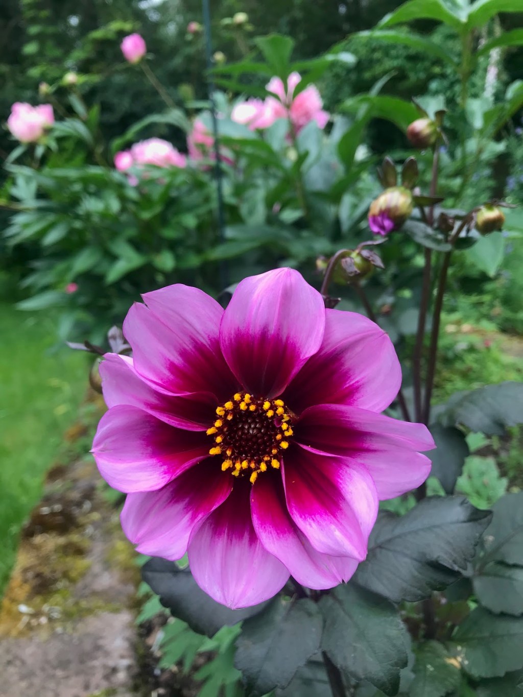 Six On Saturday — July&nbsp;3