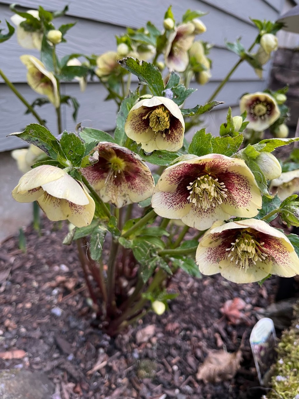 Ode to Winter (and&nbsp;Autumn!)