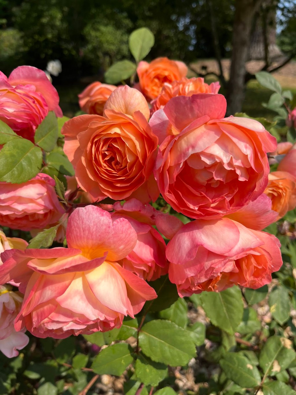 A Fond Farewell to&nbsp;July