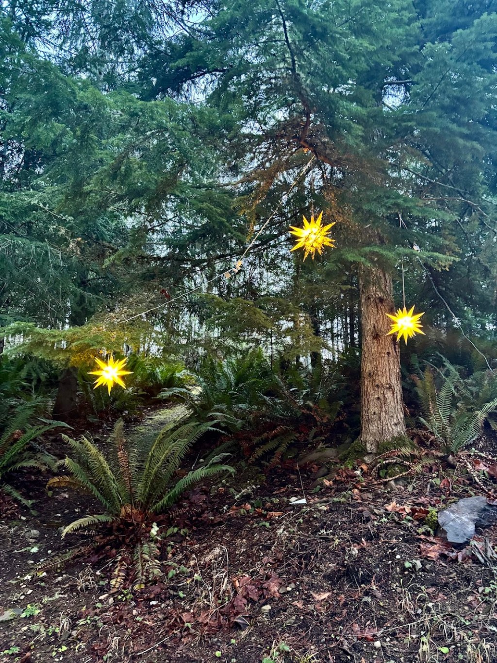 A Joyous Christmastide!